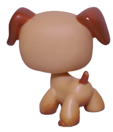#0218 Boxer